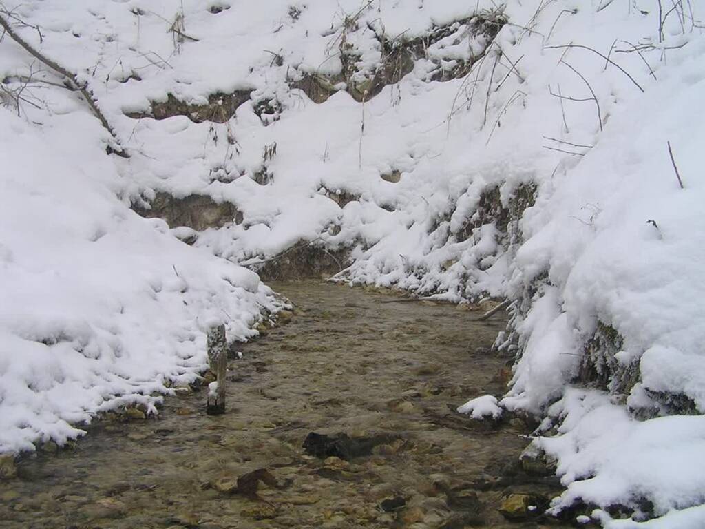 EAttachments93083021c2586032ca075f5750fac765dea960e xl