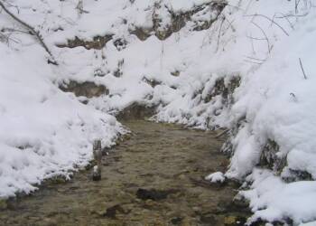 EAttachments93083021c2586032ca075f5750fac765dea960e xl