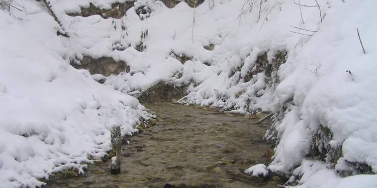 EAttachments93083021c2586032ca075f5750fac765dea960e xl