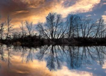 EAttachments93094911a055d21c43d083018e2babe66f472eb xl 1024x576 1