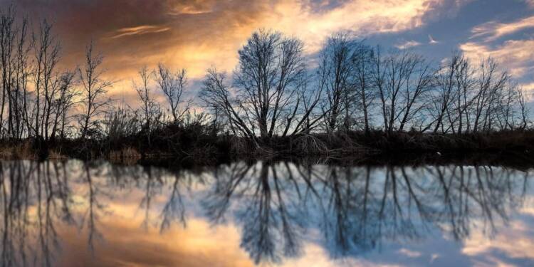 EAttachments93094911a055d21c43d083018e2babe66f472eb xl