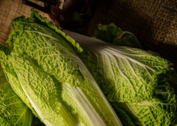 02.02.2026 Na widelcu - surówka z kapusty pekińskiej 3 EAttachments930999388e7131747b6051f357dfa3413829152 xl