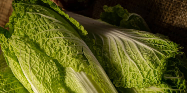 EAttachments930999388e7131747b6051f357dfa3413829152 xl