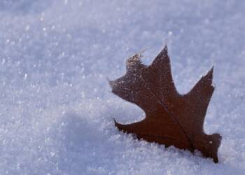 EAttachments931109432ee40fbb05e92fa0e8635ec1cdb98b9 xl 1024x683 1