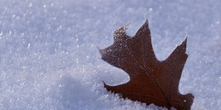 EAttachments931109432ee40fbb05e92fa0e8635ec1cdb98b9 xl