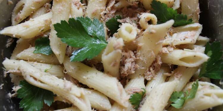 EAttachments931388699f15890283a5127d10c2fa0fc960889 xl