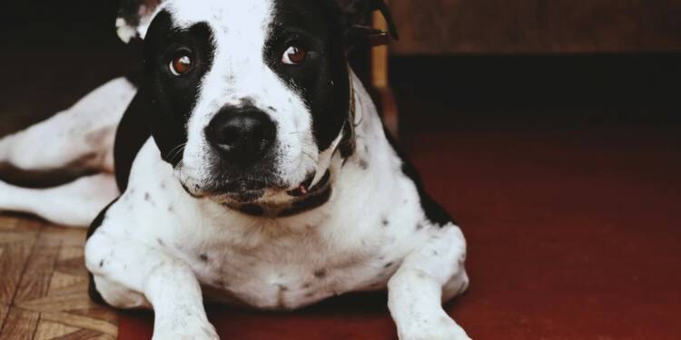 EAttachments9313888ad94ab70b7f28872c99094b8dde31d80 xl