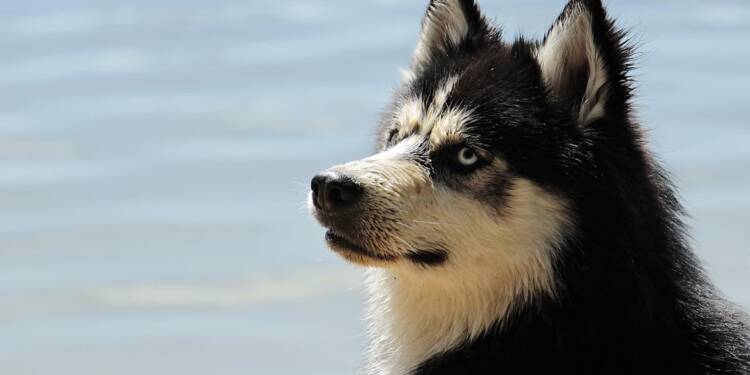 EAttachments93158520a34c03b71ea7f60cdd3a5b88269fd21 xl