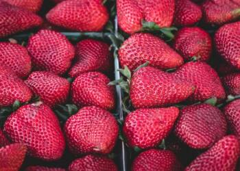 EAttachments931652401f14db80aaeb1ddd7bc7a791024f808 xl