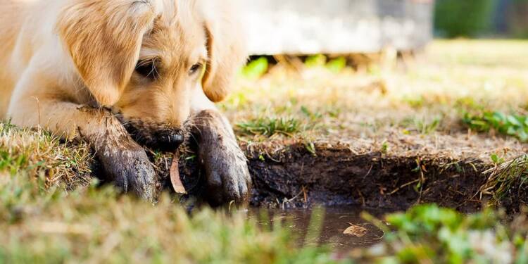 EAttachments931804156fbcf5049475e7183e1038fd0499f6e xl