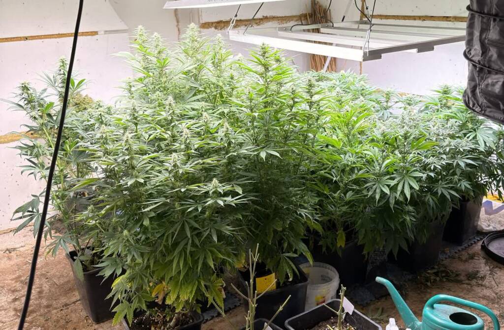 EAttachments931902689267a7ae8d40fbfe80496de7e3bd5ef xl