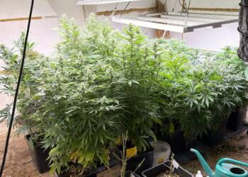 EAttachments931902689267a7ae8d40fbfe80496de7e3bd5ef xl