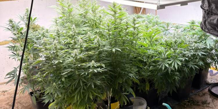 EAttachments931902689267a7ae8d40fbfe80496de7e3bd5ef xl