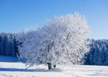 EAttachments931956602cf4bed93fa8733ec907fd4b7a1a9fa xl