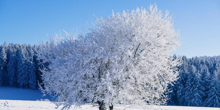 EAttachments931956602cf4bed93fa8733ec907fd4b7a1a9fa xl