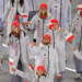 07.02.2026 Radiowe studio sportowe 10 EAttachments932015984b0ad732f3e0278b889c7494ab602be xl