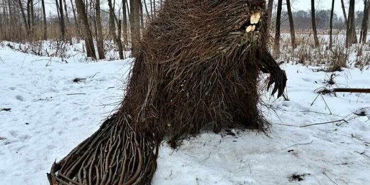 EAttachments93210130e3db51c673b1d66d9ce2d4d02dd6ee3 xl