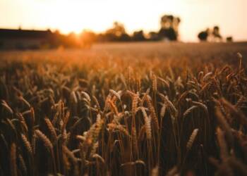 EAttachments9321940e5d267f6ca5a96a7d390b6cd4913987a xl 1024x683 1