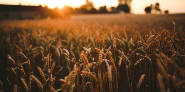 EAttachments9321940e5d267f6ca5a96a7d390b6cd4913987a xl