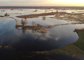 EAttachments93236411e141bf201ba991c7cc87da433da8a41 xl 1024x777 1