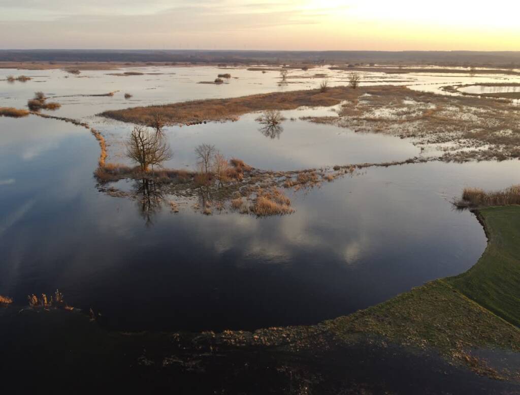 EAttachments93236411e141bf201ba991c7cc87da433da8a41 xl