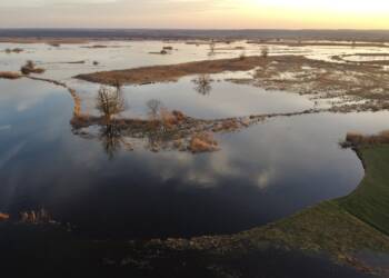 EAttachments93236411e141bf201ba991c7cc87da433da8a41 xl