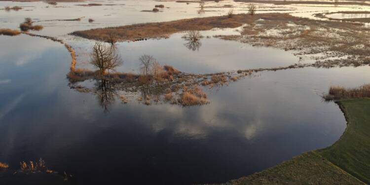 EAttachments93236411e141bf201ba991c7cc87da433da8a41 xl