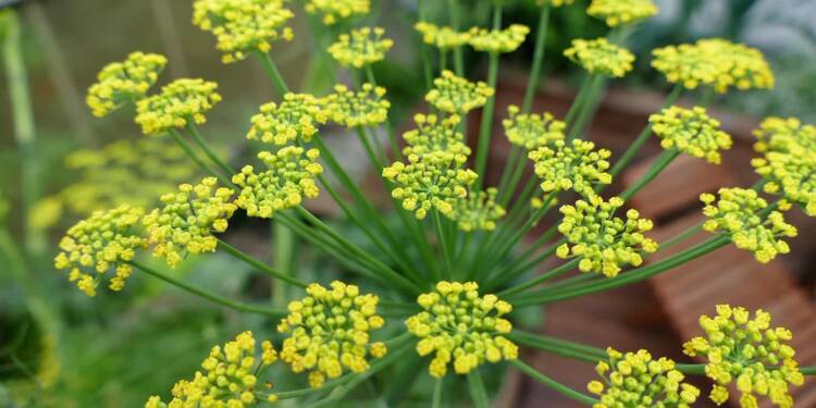 EAttachments93252781906613b8946a43b195165f7053e3c37 xl