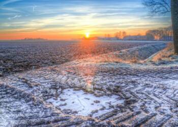 EAttachments93259843d4120dcb3d1633a7599c16cf53e9ecd xl 1024x682 1