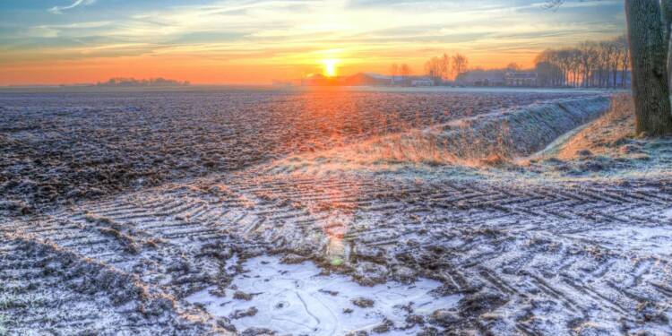 EAttachments93259843d4120dcb3d1633a7599c16cf53e9ecd xl