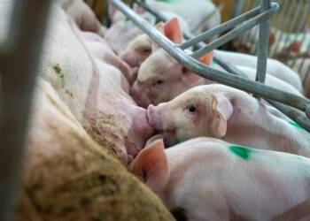 EAttachments9330987b91535e5d19518bc5d7fad92014d29dc xl