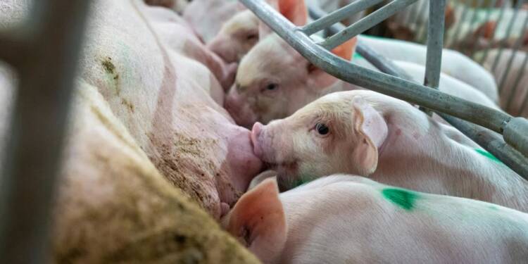 EAttachments9330987b91535e5d19518bc5d7fad92014d29dc xl