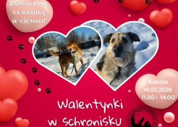 EAttachments9331689add1591c3717bb382487cd345b807d0b xl