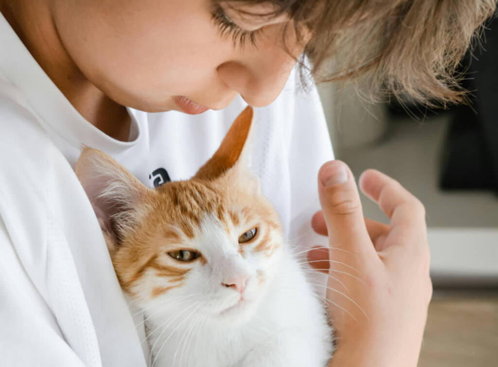 EAttachments93317342a01a8c6b360909cc180751ac68d63f3 xl