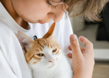 EAttachments93317342a01a8c6b360909cc180751ac68d63f3 xl