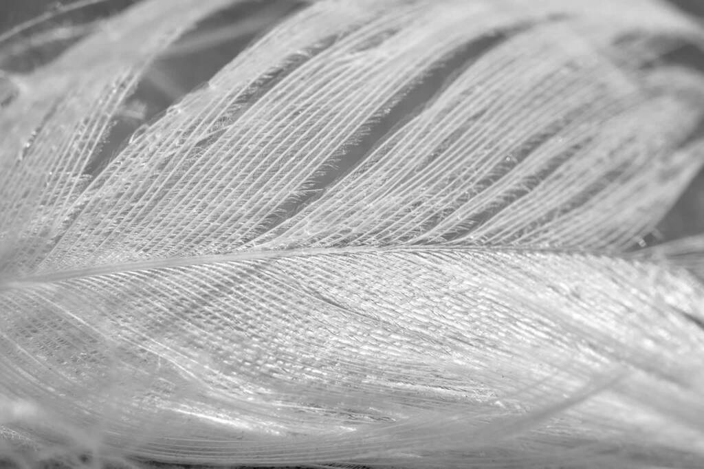 14.02.2026 Etnosfera - o dawnych zimowych zwyczajach 1 EAttachments933188691980ce2afd1cb90ad79bedae0fe7dcc xl