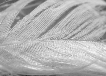 EAttachments933188691980ce2afd1cb90ad79bedae0fe7dcc xl