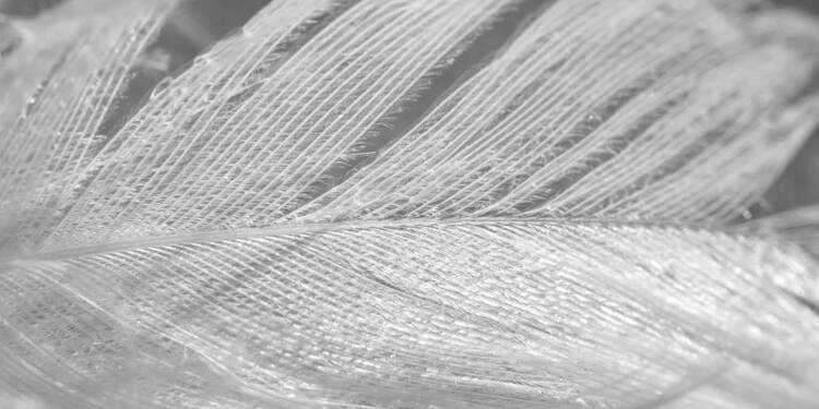 EAttachments933188691980ce2afd1cb90ad79bedae0fe7dcc xl