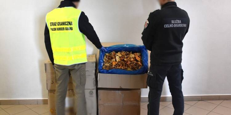 EAttachments9331945bcc29eb2d08d9543fc0caaa52be313f0 1