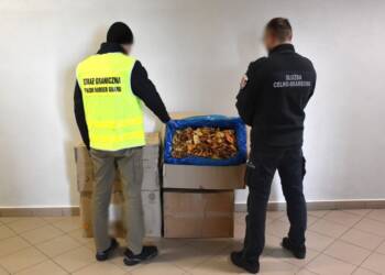 EAttachments9331945bcc29eb2d08d9543fc0caaa52be313f0 1024x751 1