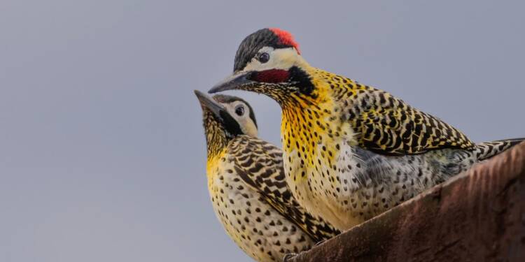 EAttachments9332138c761d7b0d93f30582391fc6fad905ebf xl 1