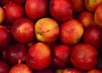 EAttachments9332178877250bd5151fc29e615c8076d162b49 xl