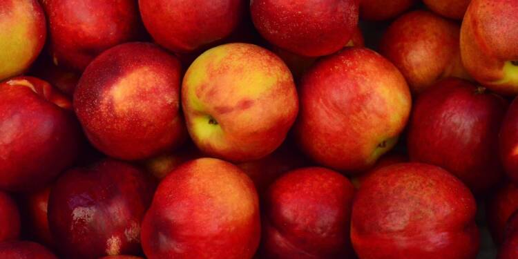 EAttachments9332178877250bd5151fc29e615c8076d162b49 xl