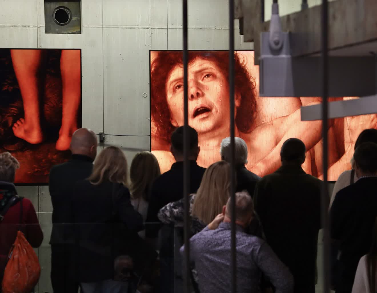 15.02.2026 Halo kultura