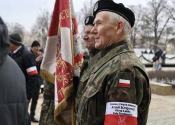 EAttachments9335021e2d3f6a1661bff1e7cdd4acbaf278b02 xl