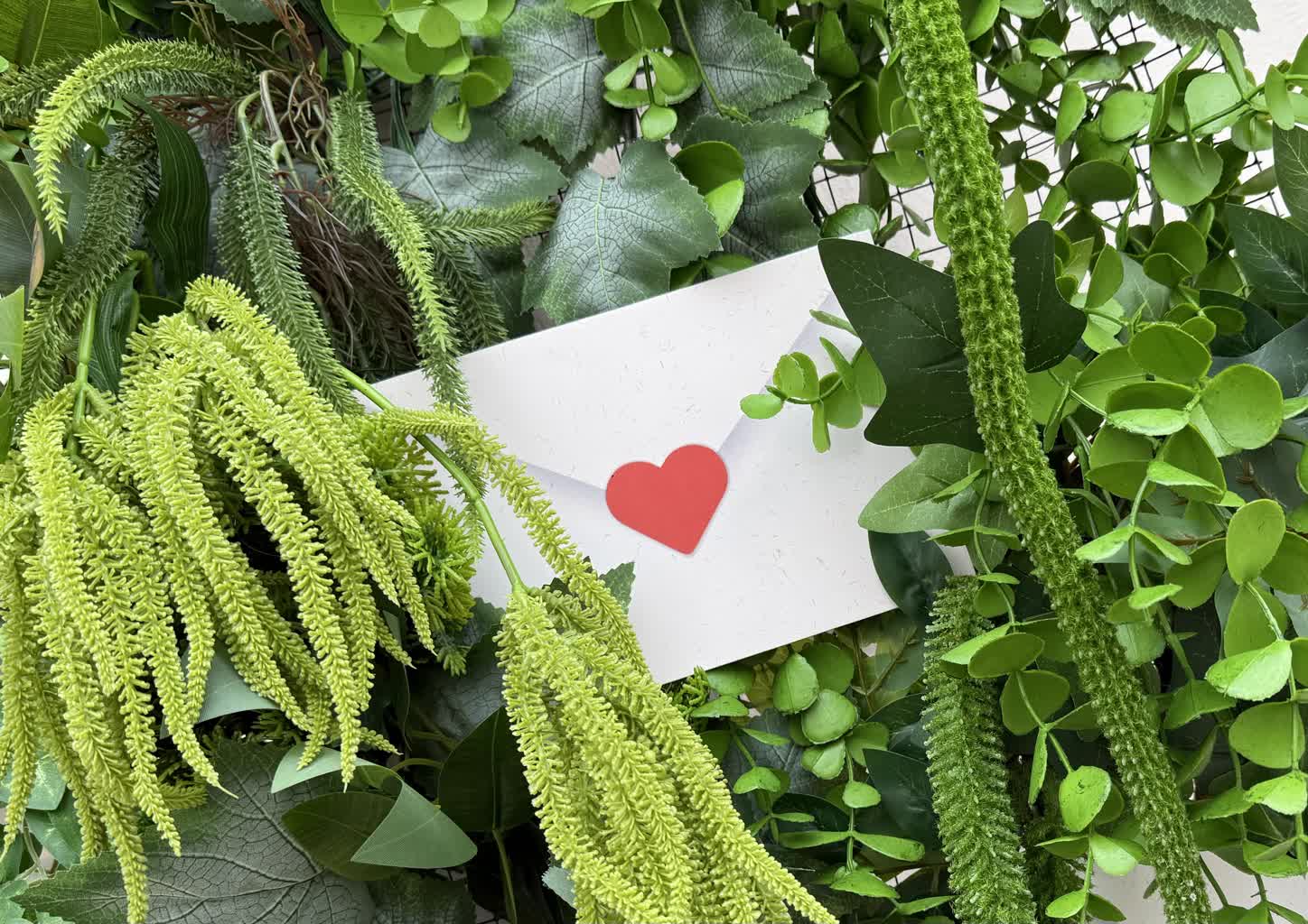 Dziś walentynki, czyli święto zakochanych 3 IMG_2451.jpeg