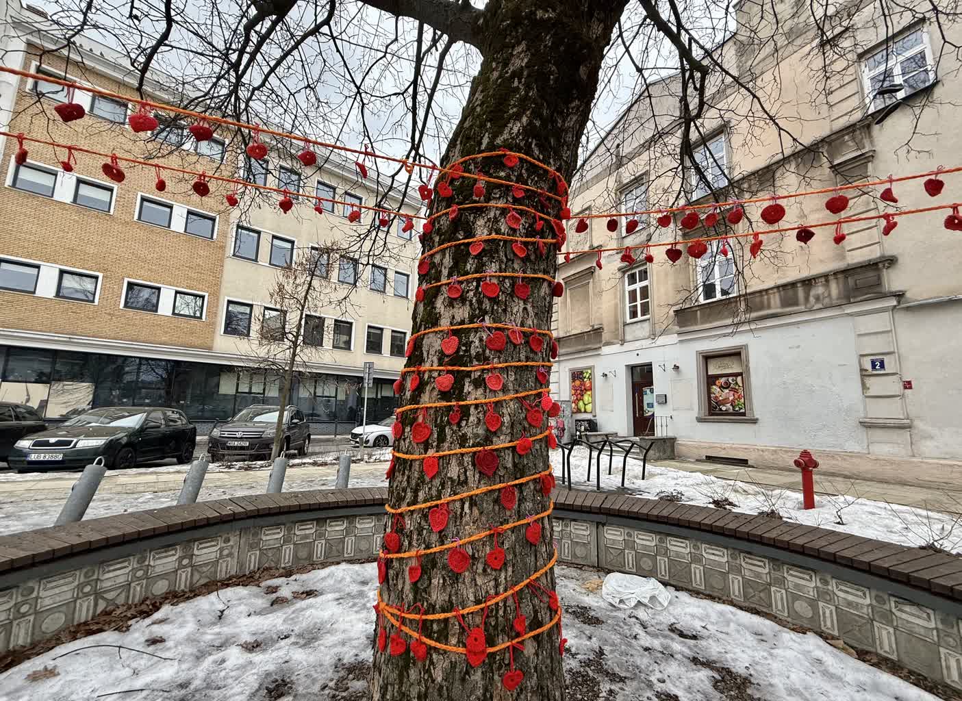 Dziś walentynki, czyli święto zakochanych 4 IMG_2609.jpeg