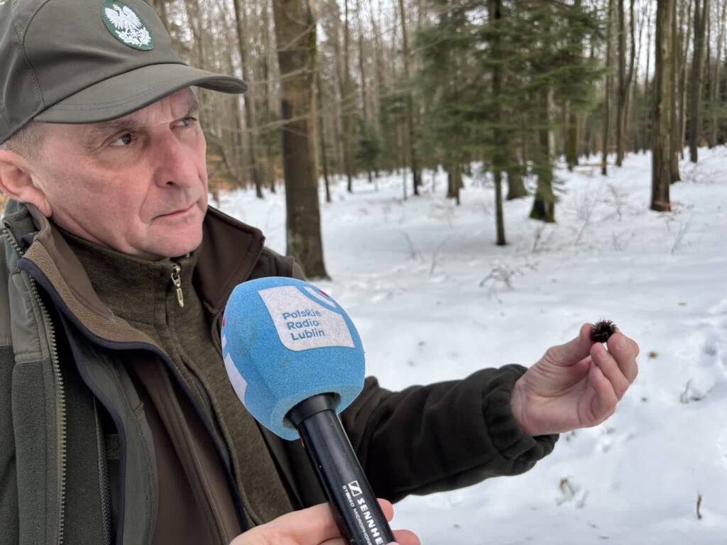 EAttachments9336539b845eb1a7979642db422eeeb048cb8e9 xl