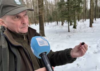 EAttachments9336539b845eb1a7979642db422eeeb048cb8e9 xl