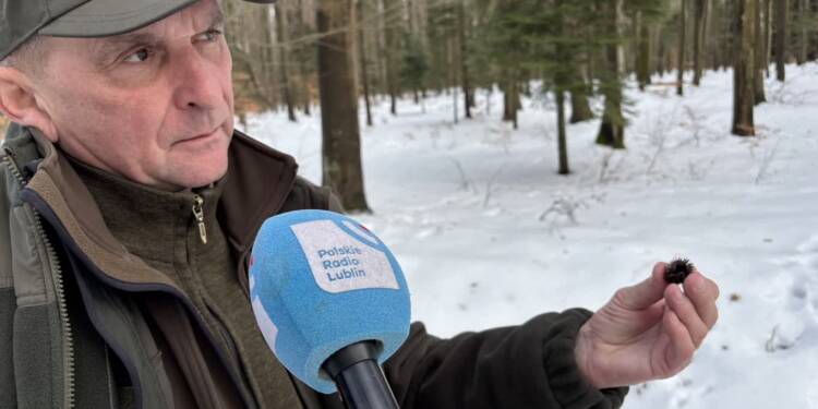 EAttachments9336539b845eb1a7979642db422eeeb048cb8e9 xl